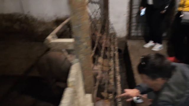 ВЛОГ: С Виталиком и Ангелиной в гостях у Славы и Инги/ Деревенька на юге