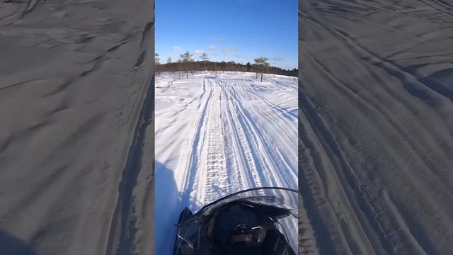 SNOWMOBILE EXPERIENCE by NORDIC UNIQUE TRAVELS | FINLAND смотреть онлайн