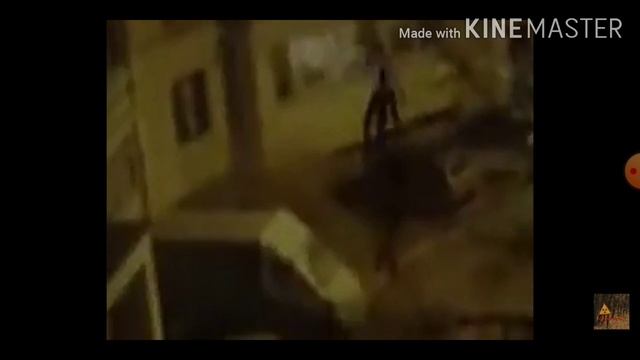 истории страшных существ #1 палочник. (старое видео канала)