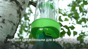 Ловушки с феромонами для вредителей