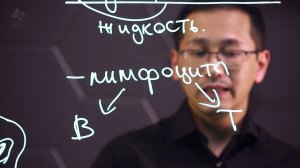 Иммунитет гуморальный и клеточный. 8 класс.