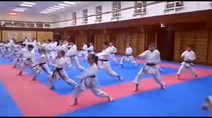 Тренировка.  Детская сборная по ката.