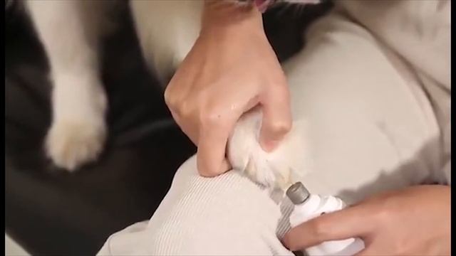 Гриндер портативный Clever cat смотреть онлайн