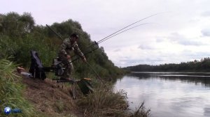 ЛЕЩИ ломают подсак. Ловля крупного леща на фидер на Двине. Сказочный жор крупного леща.