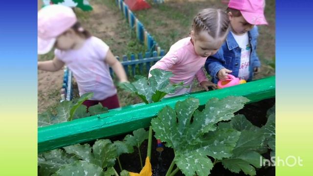 Трудовое и экологическое воспитание дошкольников в детском саду Во саду ли, в огороде с малышами смотреть онлайн