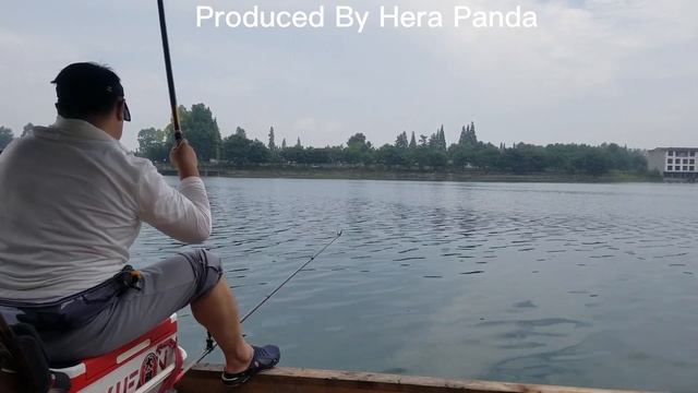 Herabuna fishing with new rod:Koi-Tiger 7.2M смотреть онлайн