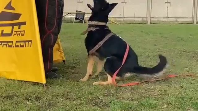 Тура из Розы Ветров, облай в укрытии смотреть онлайн