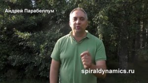 Отзыв о семинаре Анатолия Баляева "Спиральная Динамика".