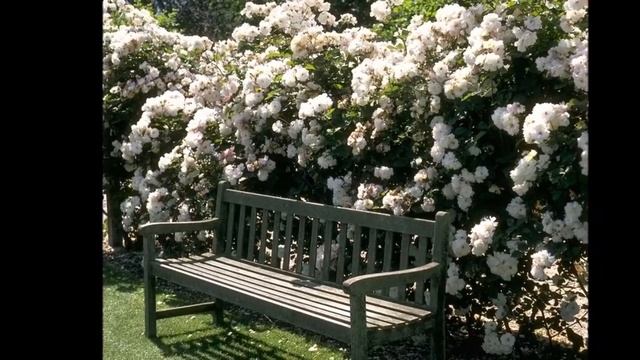 Садовая скамейка из дерева металла и не только смотреть онлайн