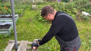 Электро чистка рыбы или КАК почистить 3 леща за 2 минуты?!