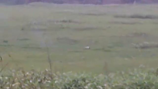 Nitroglycerin 125ml смотреть онлайн