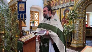 Проповедь Протоиерея Андрея Ткачев - Взираем на Начальника веры, Претерпевшего такое (2024.06.30)