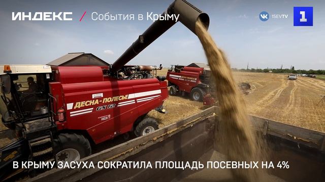 В Крыму засуха сократила площадь посевных на 4%