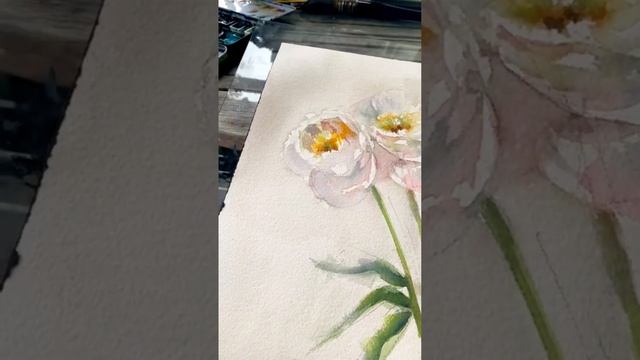 Как нарисовать белые пионы акварелью. эффект, техника с солью