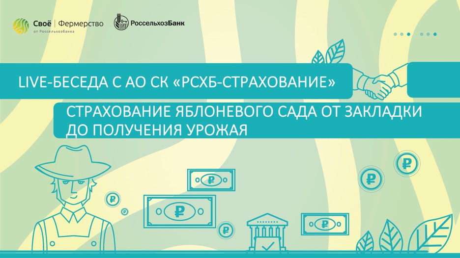Страхование яблоневого сада от закладки до получения урожая