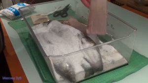 балык из сома в домашних условиях