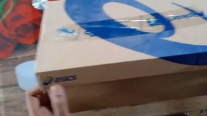 Asics Gel Windhawk 3 | Running Shoes