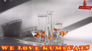 Kumquat Fruit Song! (Hmm...That's Strange I Love Kumquats Fruits)