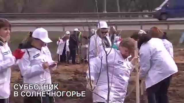 Субботник в Солнечногорье 20 апреля