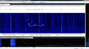 SOUND FORGE Audio Studio 12 – Spectral Cleaning Tutorial