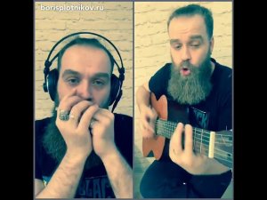 Light my Fire - Doors harmonica cover by Boris Plotnikov