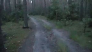 молоково