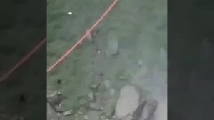 В Дагестане целая семья в машине упала в каньон с огромной высоты.Машина с туристами из Оренбурга.🤯