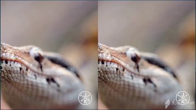 72% NTSC VS 45% NTSC | Laptop Screen Color Accuracy Comparison | Acer Nitro 5 vs Asus ROG Strix G15 смотреть онлайн