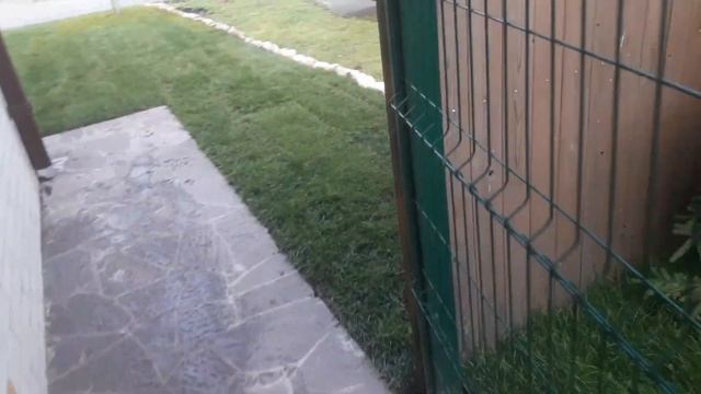 Самые лучшие газон смотреть онлайн