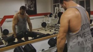 Шраги с гантелями стоя