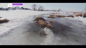 Разведка блогом / По льду к торосам Ханкайского заповедника / 30.01.23