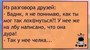 ?Стюардесса Заходит В Кабину Самолёта...Большой Сборник Весёлых Анекдотов,Для Супер Настроения!