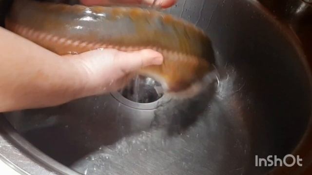 Стерлядь на праздник. Готовим в духовке #рыбанапраздник#стерлядканапраздник#праздничноегорячее смотреть онлайн