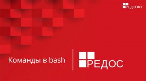 Команды в bash