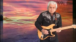 Cicci Guitar Condor - Goodbye My Love Goodbye