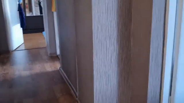 Обзор покупок Магнит//у врача на приёме//советы стоматолога//уплотнитель для волос//дома нет морков