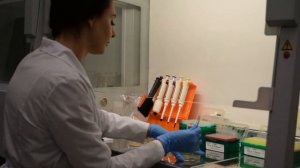 Тестирование Блокатора вирусов против бактерий