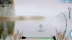 Как и где ловить#пескарь#my fishing world