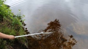 Щука в детском бассейне 3