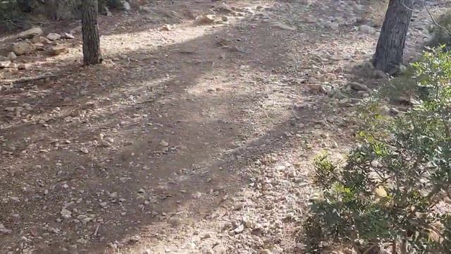 Пешая прогулка в гору Sierra Helada в El Albir Испания смотреть онлайн