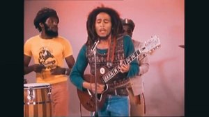 Tara202 (сниппет)