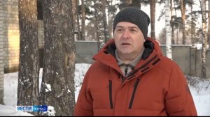 В Алтайский край зимой прилетают непривычные нашему глазу птицы