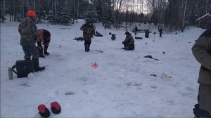 Поимки на спорт зоне на актив. Ближе к обеду включились резина и ратлины. Клёвое место лосины остро