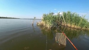 Рыбалка в жару?, ловля плотвы на поплавок.