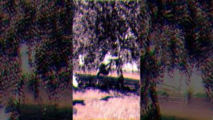 Да не легко да не легко