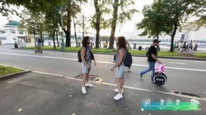 ?что за тигр этот лев?