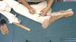 Работа с мехом. Как правильно разрезать шкурку рыси.