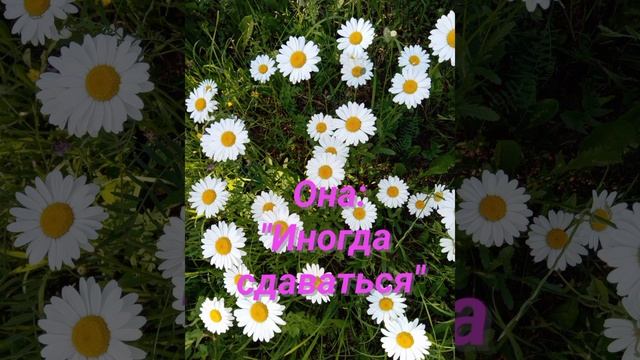 Сдаваться или бороться?