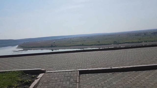 Сибирские просторы. Белки в Томске в Лагерном саду.