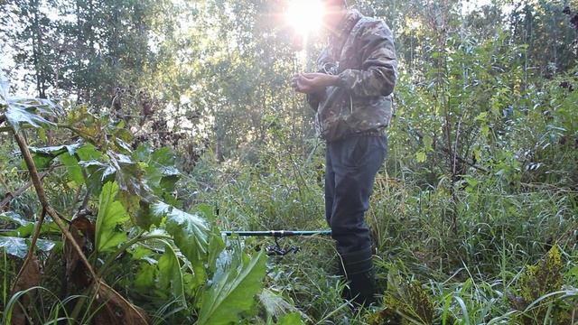 Рыбалка в Петряихе на речки в поисках рыба окуня.  Поел бобёр рыбу